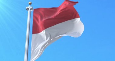 Solothurn Bayrağı Kantonu, İsviçre. Döngü