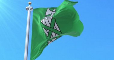 St Gallen Flag Kantonu, İsviçre. Döngü