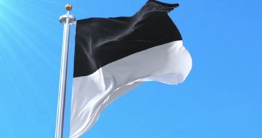 Fribourg Flag Kantonu, İsviçre. Döngü