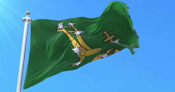 Original Starry Plough Flag Irish Citizen Army Loop — Stockvideo