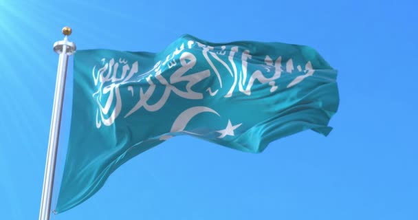 Drapeau Parti Islamique Turkistan Boucle — Video