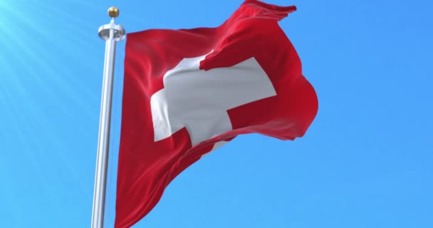 Sviçre Bayrağı Rüzgarda Dalgalanıyor Döngü — Stok video