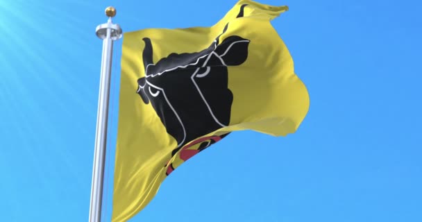 Καντόνιο Uri Flag Ελβετία Βρόχος — Αρχείο Βίντεο