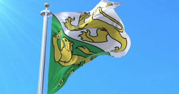 Cantão Thurgau Bandeira Suíça Laço — Vídeo de Stock