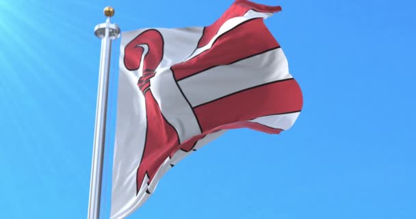 Kanton Jura Flagge Schweiz Schleife — Stockvideo