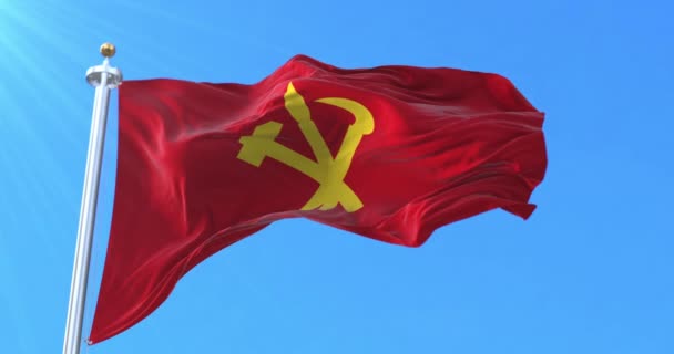 韩国劳动党的旗帜 — 图库视频影像