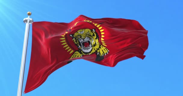 スリランカのタミル イーラムの旗 ループ — ストック動画