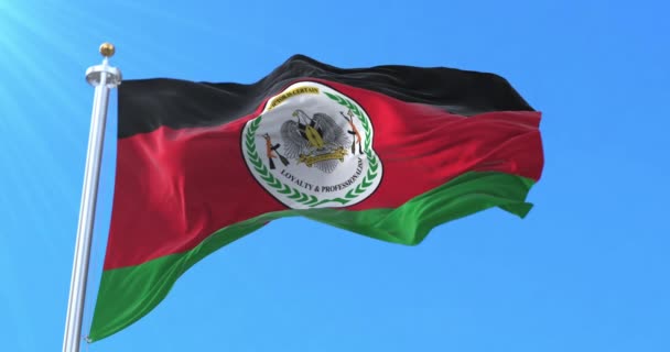 Bandera Del Ejército Popular Liberación Sudán Bucle — Vídeo de stock