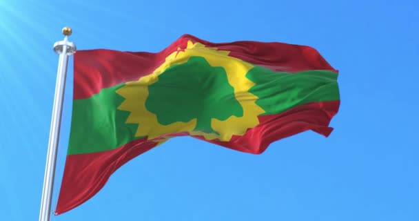 Bandeira Frente Libertação Oromo Laço — Vídeo de Stock