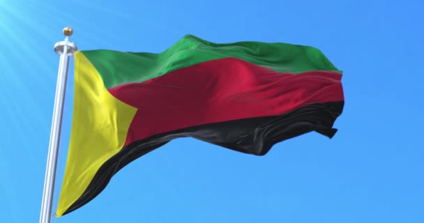 Flaga Ruchu Narodowego Rzecz Wyzwolenia Azawadu Mali Pętla — Wideo stockowe