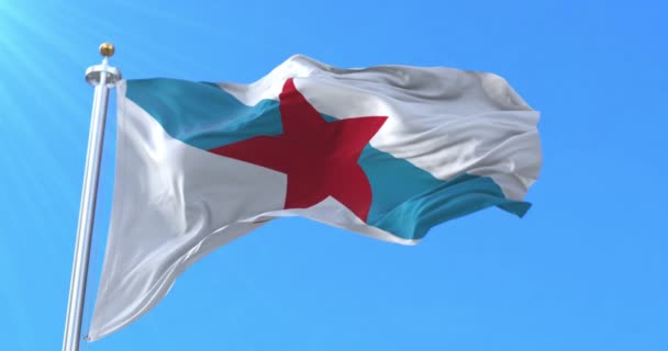 Estreleira Flag Used Galician Nationalists Galicia Spain Loop — Stock Video