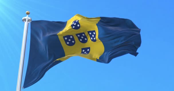Arquipélago Bandeira Frente Libertação Madeira Laço — Vídeo de Stock
