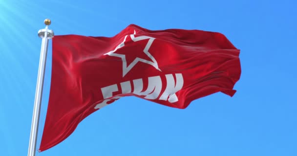 Partido Comunista Bandeira Pátria Basca Laço — Vídeo de Stock