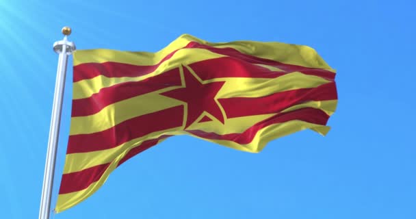 Flaga Aragońska Estrelada Hiszpania Pętla — Wideo stockowe