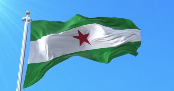 Bandera Andalucía Andalucía España Bucle — Vídeo de stock