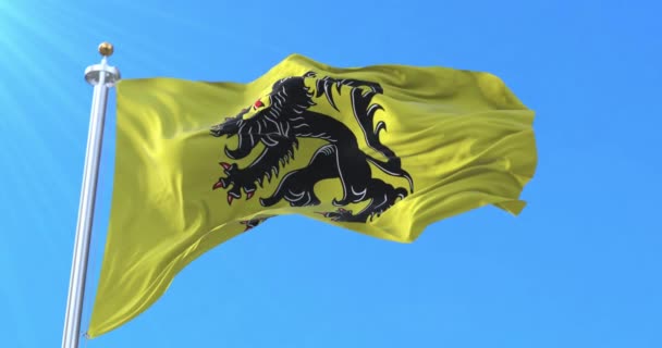 Bandeira Flandres Bélgica Laço — Vídeo de Stock