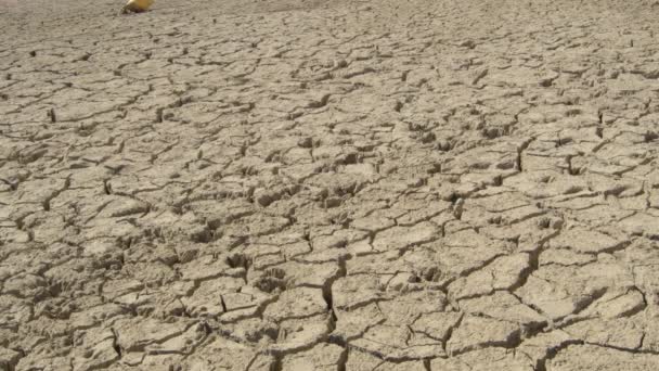 Kurak Topraklar Kuraklıktan Önce Bir Göl Vardı — Stok video