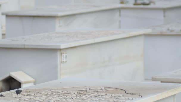 犹太人的坟墓 上面有大卫之星的符号在犹太人公墓里 — 图库视频影像