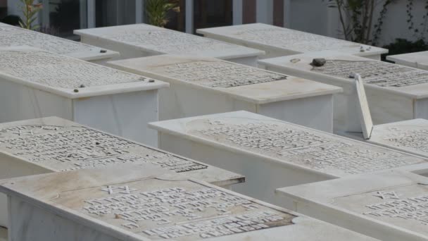 Túmulos Cemitério Judeu Casabermeja Espanha — Vídeo de Stock