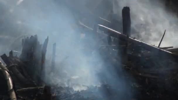 火灾残留和燃烧的灌木丛冒烟 — 图库视频影像