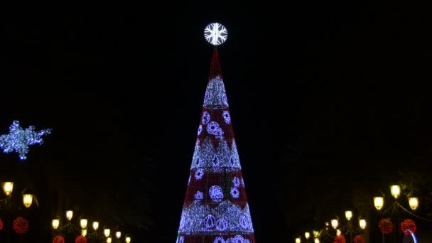 Kerstboom Met Verlichting Een Boulevard Nachts — Stockvideo