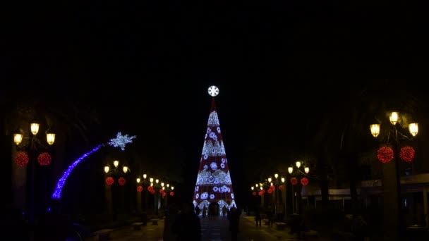 Різдвяна Ялинка Вночі Освітленням Набережній Людьми Йдуть — стокове відео