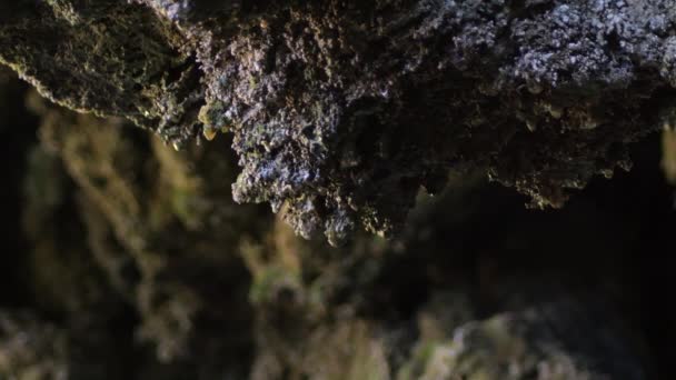 Краплі Води Ковзають Скелі Печері — стокове відео