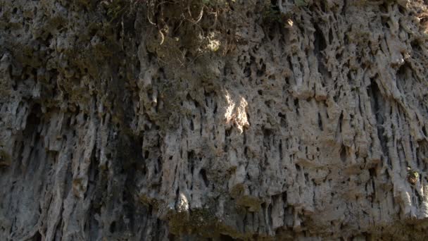 Διαφορικά Σχήματα Και Ανάγλυφα Στους Βράχους Μιας Σπηλιάς Εξωτερικού Χώρου — Αρχείο Βίντεο