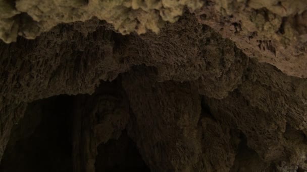 Eingang Einer Höhle Neigung — Stockvideo