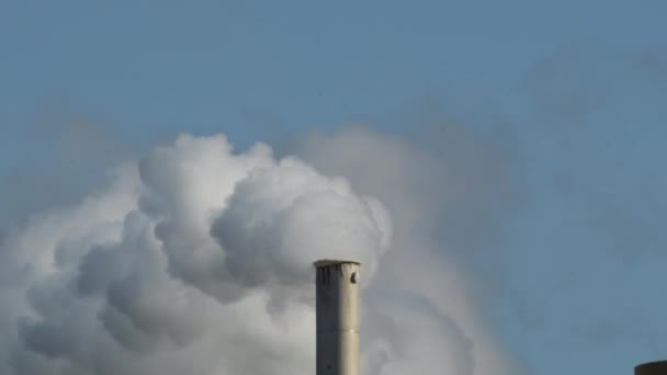 工业化工厂排放烟尘及污染的塔式烟囱 — 图库视频影像