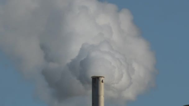 Cheminée Industrielle Expulsant Fumée Industrielle — Video