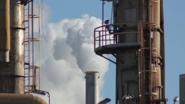 Chaminé Uma Fábrica Industrial Expelindo Fumaça Dia Nublado — Vídeo de Stock