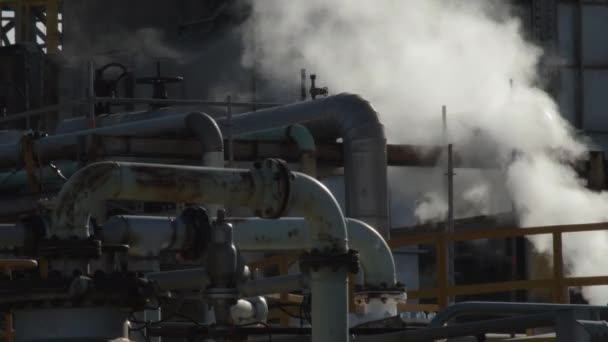 Humo Contaminación Fábrica Industrial Flotando Entre Tuberías — Vídeo de stock