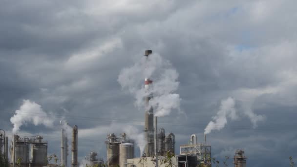 Cheminées Industrielles Expulsant Fumée Dans Une Usine Industrielle — Video