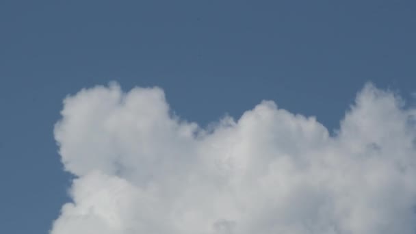 Fehér Felhők Mozognak Kék Égen Időeltolódás — Stock videók