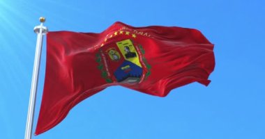 Venezuela Ulusal Milis Teşkilatı bayrağı. Döngü