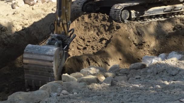 Excavator Machine Digs Ground — Stock Video