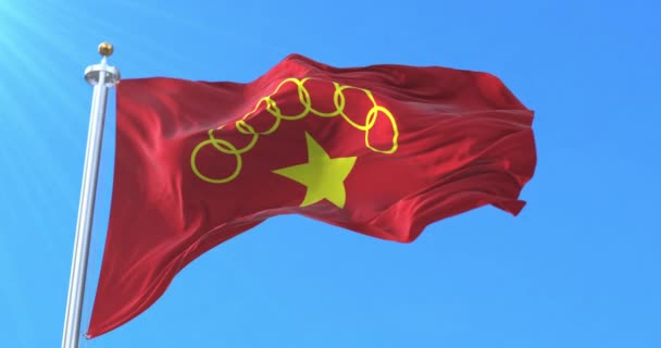 Bandeira Exército Aliança Nacional Democrática Mianmar Laço — Vídeo de Stock
