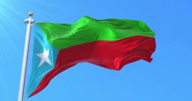 Balochistan Kurtuluş Ordusu bayrağı. Döngü