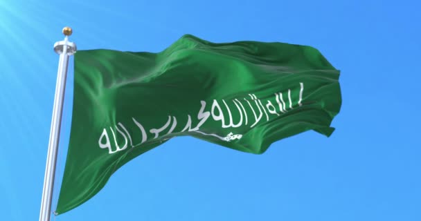 Ikhwan Bayrağı Döngü — Stok video