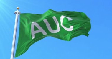 AUC bayrağı, Kolombiya Birleşik Savunma Kuvvetleri. Döngü