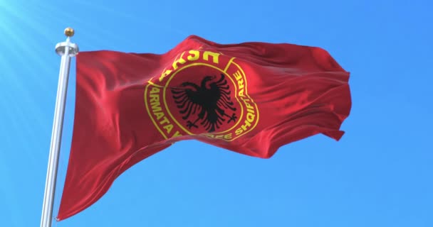 Bandera Del Ejército Nacional Albanés Bucle — Vídeos de Stock