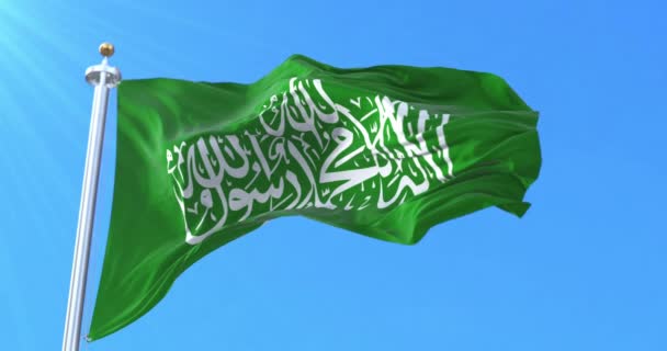 Bandeira Hamas Laço — Vídeo de Stock