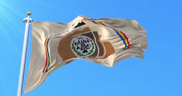 Navajo Ulus Bayrağı Döngü — Stok video