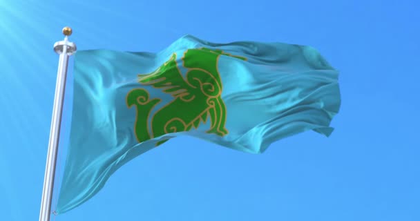 Флаг Ногайского Народа Петля — стоковое видео