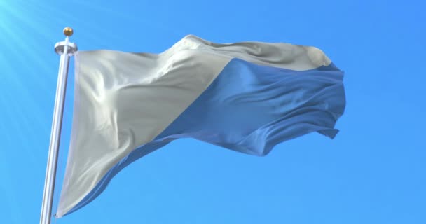 Флаг Региона Эль Бьерсо Испания Петля — стоковое видео