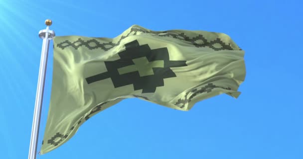Wichi Flag Argentinië Lijn — Stockvideo
