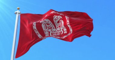 Haida halkı bayrak sallıyor. Döngü