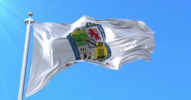 Nuevo Leon Flag, Meksika. Döngü