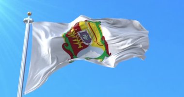 Nayarit bayrağı, Meksika. Döngü